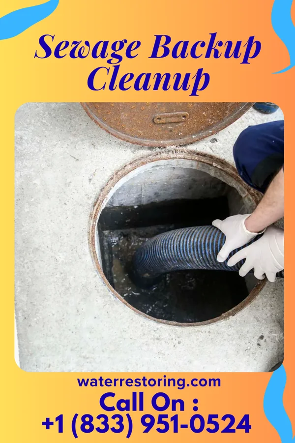 Sewage Backup Cleanup in Rayville, LA